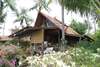 Coconut Village 